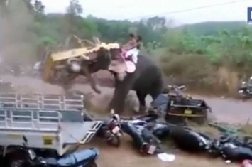 印度祭典上大象突然抓狂卷起小货车瞬间砸烂