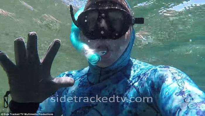 澳洲西澳省男子潜水拍摄海洋生物纪录片 误闯大白鲨地盘
