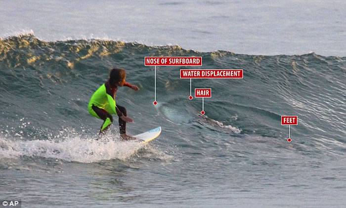 澳洲10岁男童独自冲浪疑遇悠闲大白鲨