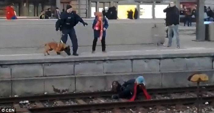 德国火车站警犬突然发狂 推女途人落路轨