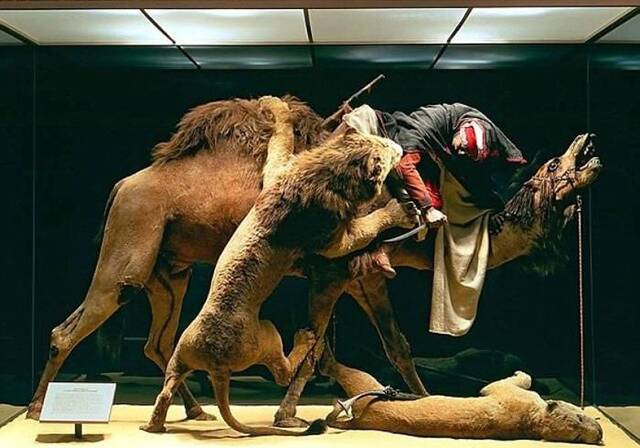 美国卡内基博物馆扫描150年历史“被狮子攻击的阿拉伯信使”时发现里面竟有人类头骨