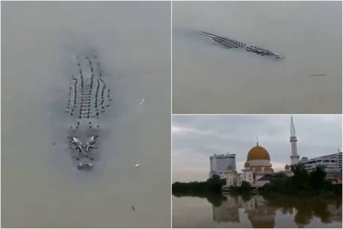 马来西亚巴生河惊现鳄鱼 网民提醒钓鱼发烧友小心