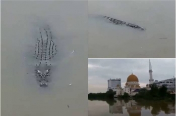 马来西亚巴生河惊现鳄鱼 网民提醒钓鱼发烧友小心