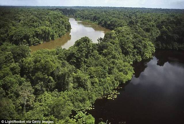 加拿大男子神秘失踪5年 万公里外巴西丛林被寻获