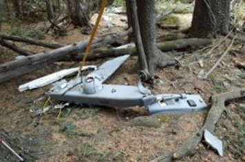 美军RQ-7Bv2无人机演习离奇飞越960km后坠落挂在树上