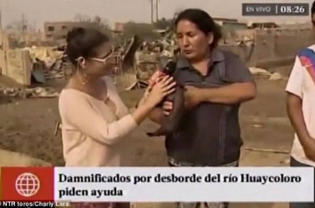 秘鲁妇人接受采访时突然掀衣给猪喂奶 记者当场哑口无言