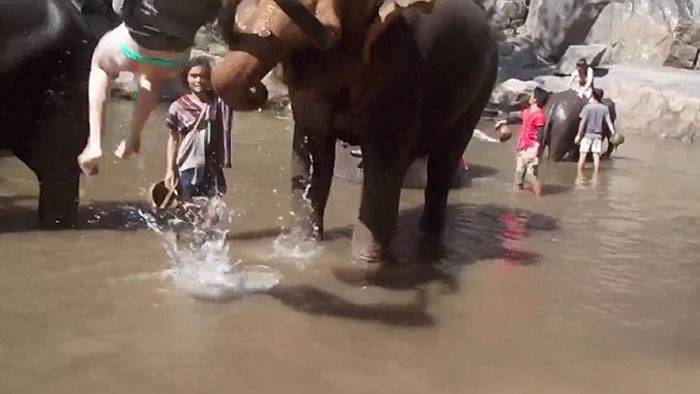 泰国大象洗澡时被摸鼻子 卷长鼻怒甩飞女游客