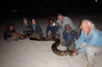 印度部落民族伊鲁拉捉蛇人勇闯美国佛罗里达州 一个月捉27条缅甸蟒