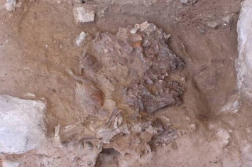 沙尼达尔Z（Shanidar Z）证明7万年前尼安德特人或已有丧葬习俗