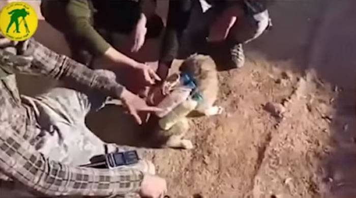 伊斯兰国IS逼无辜小狗当自杀炸弹客