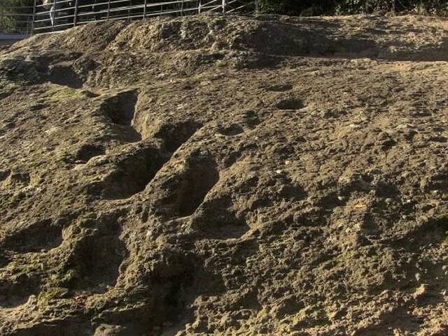 “恶魔的足迹”？意大利坎帕尼亚区北部罗卡蒙菲纳35万年前人类脚印向着火山山顶走去