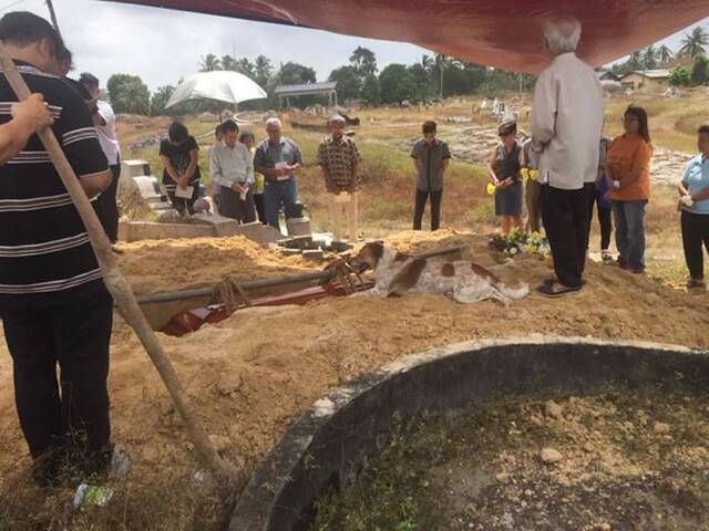 马来西亚忠犬狂追主人送葬车队
