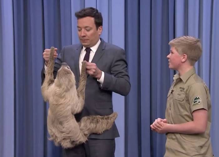 澳洲“鳄鱼先生”Steve Irwin13岁儿子上美国“吉米法伦今夜秀”节目热情介绍动物