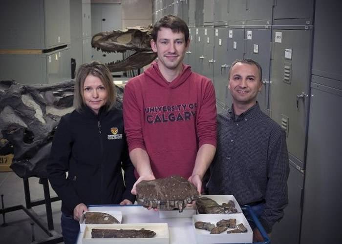 加拿大艾伯塔省发现新品种“死神”暴龙“塔纳托龙”Thanatotheristes degrootorum