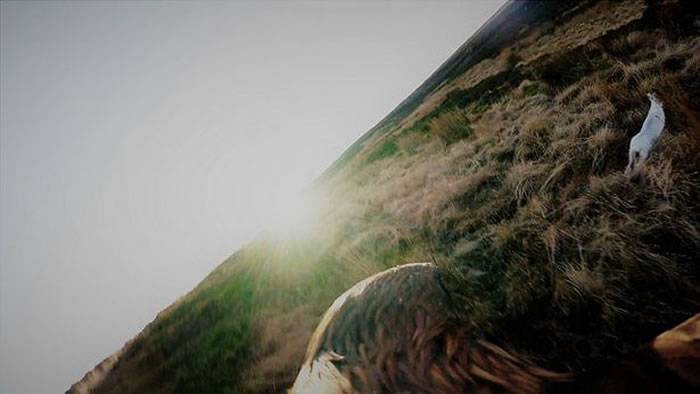 英国摄影师将镜头绑在金雕背上拍到震撼捕猎雪兔镜头