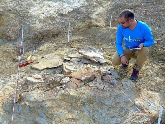 南美洲发现1公吨重巨型地纹骇龟化石Stupendemys geographicus 下颚构造还能吃鳄鱼