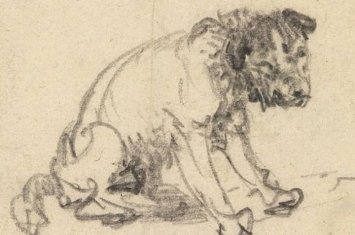 德国不伦瑞克博物馆摆乌龙250年 一只狗的粉笔画实为伦勃朗作品