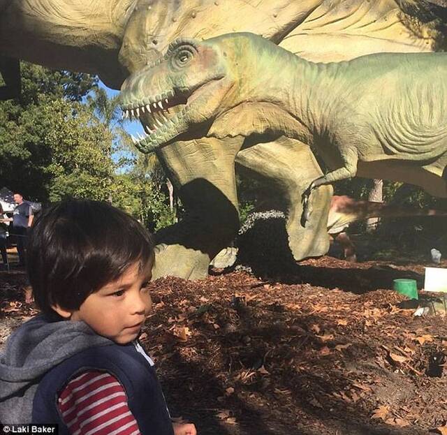 澳洲小恐龙迷靠恐龙改善厌食症