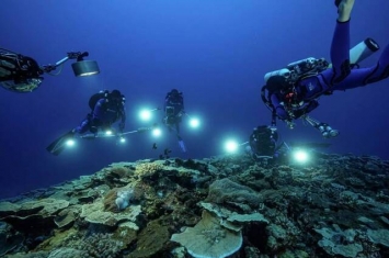 南太平洋中部的塔希提岛附近海域发现目前全球最大的珊瑚礁