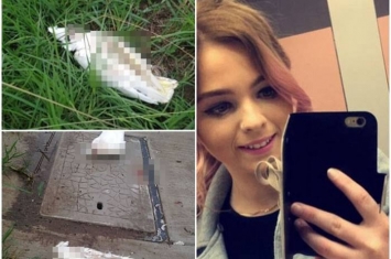 澳洲女子家门外惊现3只小凤头鹦鹉尸体 疑是触电亡