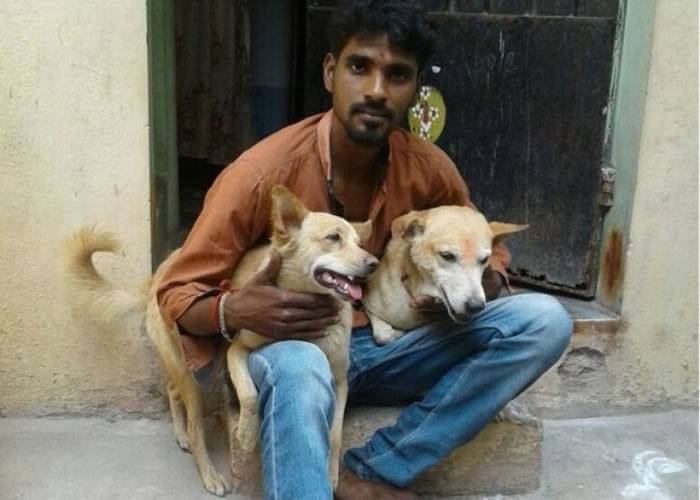 印度英雄流浪狗帮警方抓住持刀疑犯