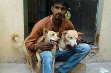 印度英雄流浪狗帮警方抓住持刀疑犯