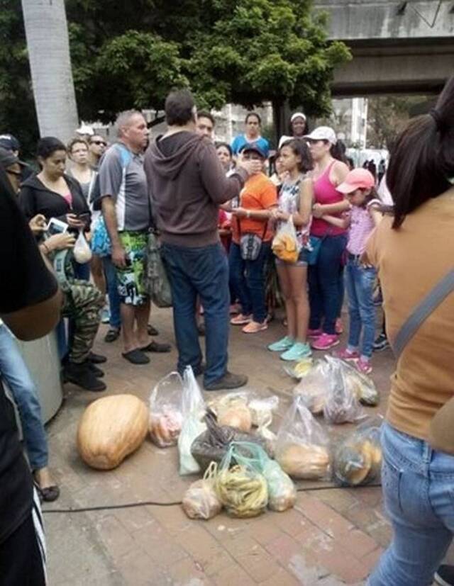 拉丁美洲国家委内瑞拉经济危机 卡里库欧动物园大象瘦成皮包骨
