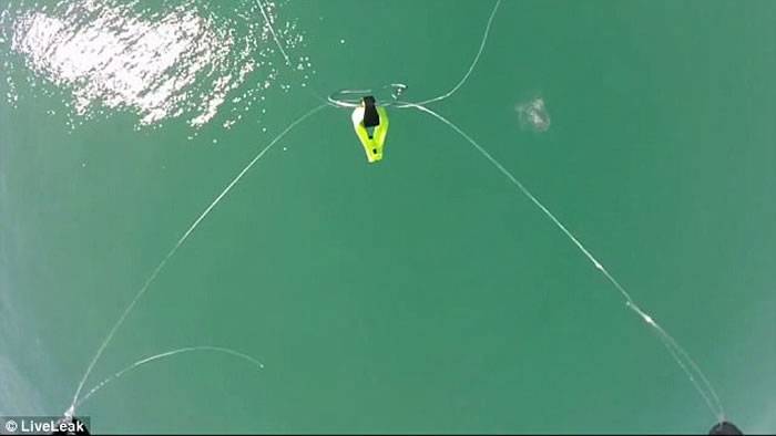 外国渔夫钓鱼新玩法：无人机出动钓到鲨鱼