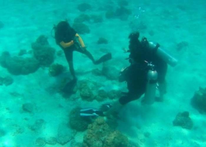 泰国布吉皇帝岛韩国游客踩踏珊瑚拍照 触及当地保育法例