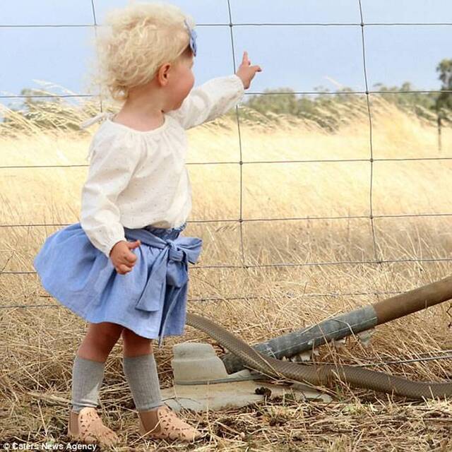 澳洲母亲在野外为两岁大女儿拍照 赫然发现全球第二毒的毒蛇“东部棕蛇”在合照