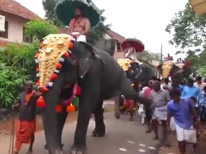 印度喀拉拉特邦信徒宗教巡游 大象忽然起脚把后方男子踢飞