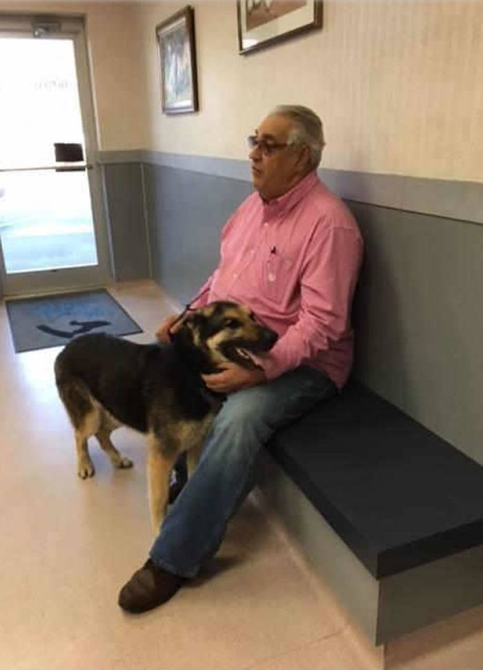 美国北卡罗莱纳州老翁开门惊见失踪4年爱犬