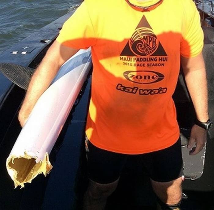澳洲布里斯班男子乘独木舟出海遭鲨鱼袭击 舟尾被咬破