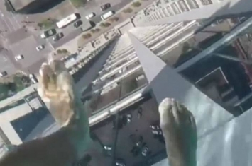 “触目惊心”：美国德州高尚住宅泳池玻璃底部 离地152米