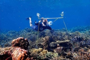 海洋生物学家在水底播珊瑚声吸引鱼群 或助大堡礁重现生机