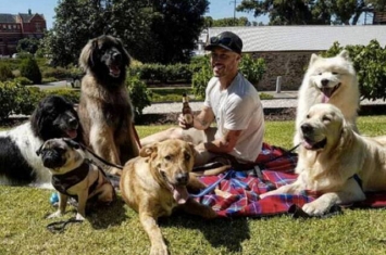 动物救援组织RSPCA澳洲男子Ryan Anderson愿望是拯救全世界的狗