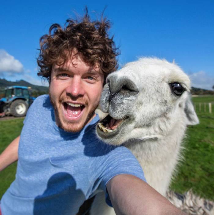 澳洲Alan Dixon经常在Instagram晒出跟动物的合照