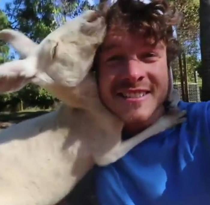 澳洲Alan Dixon经常在Instagram晒出跟动物的合照
