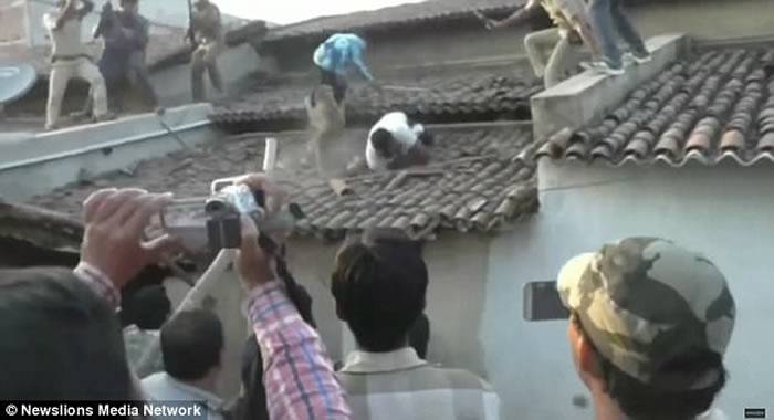 印度奥里萨邦一只猎豹凌晨闯入村庄 男子从屋顶跳下保命