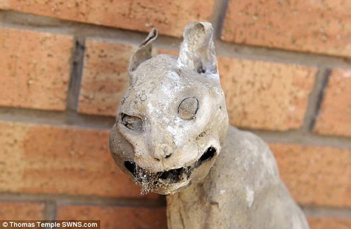 英国威根屋主在修建老屋时发现一具30年猫干尸
