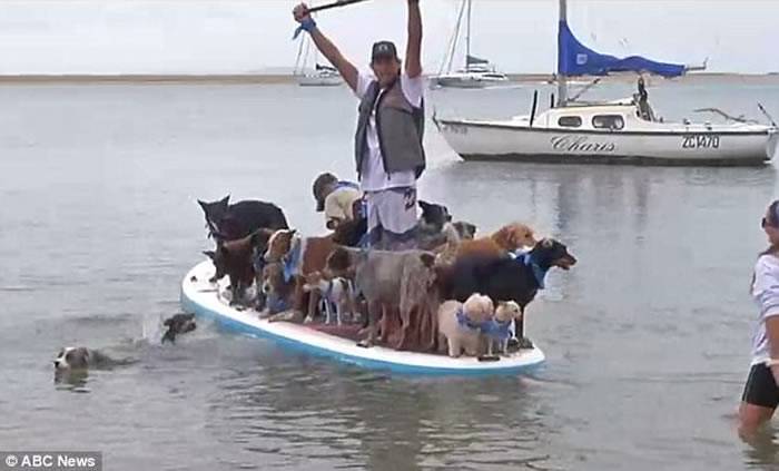 澳洲犬只训练员Chris de Aboitiz破世界纪录 与25只狗登冲浪板