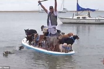 澳洲犬只训练员Chris de Aboitiz破世界纪录 与25只狗登冲浪板