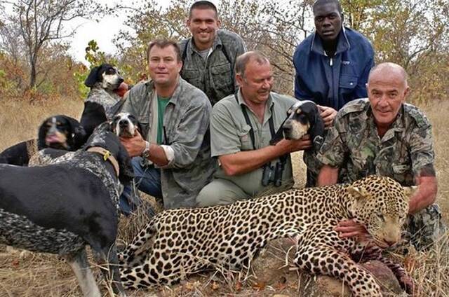 南非猎人带客户到津巴布韦猎象 被中枪大象活活压死