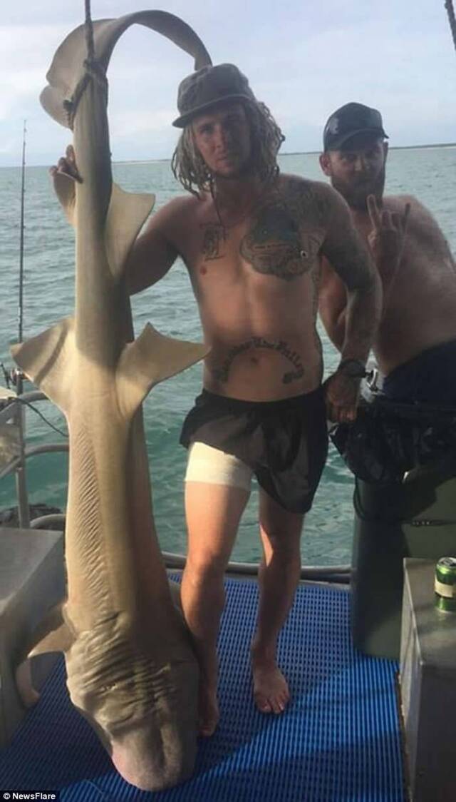 澳洲男子嫌命长要徒手捕捉鲨鱼 “人鲨战”险遭噬掉子孙根