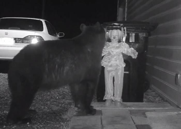 美国维珍尼亚州居民再垃圾桶挂发声小丑 妙计驱赶翻食物黑熊