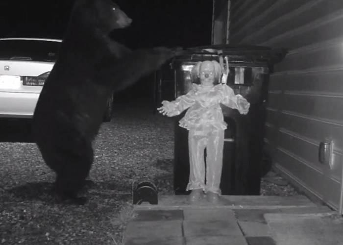 美国维珍尼亚州居民再垃圾桶挂发声小丑 妙计驱赶翻食物黑熊