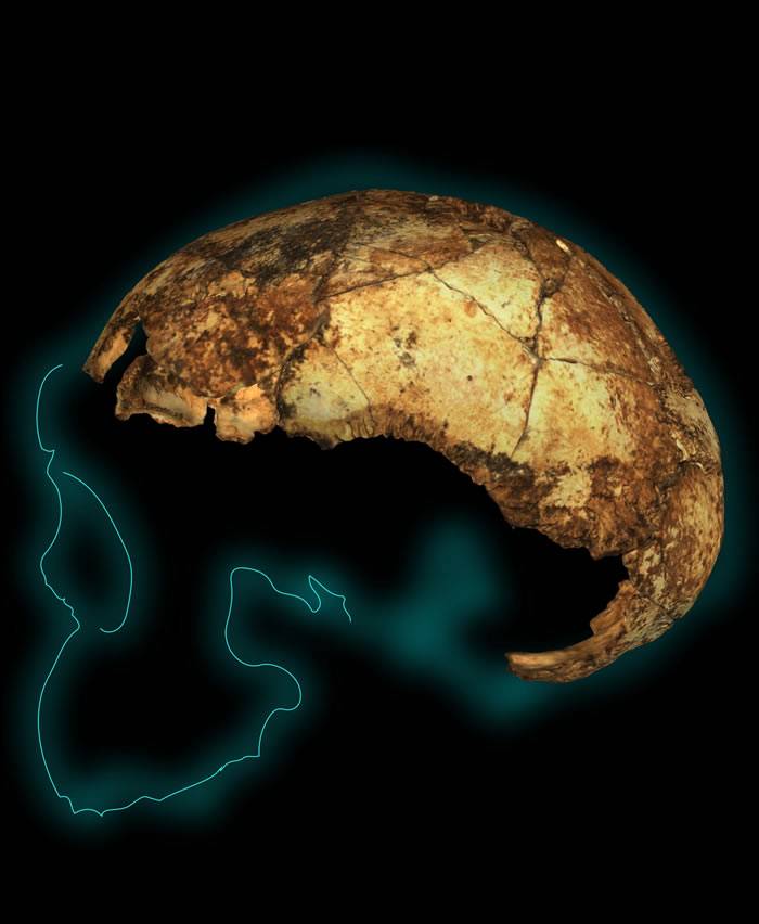 两百万年前南方古猿属、傍人属和最早直立人同时生活在南非的喀斯特地貌带