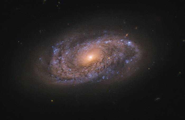 1.45亿光年外大型螺旋星系NGC 2906中散布着大量“婴儿”恒星