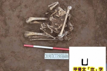 河南济源柴庄遗址发现大量墓葬及晚商祭祀遗存 人骨形状似甲骨文“坎”字