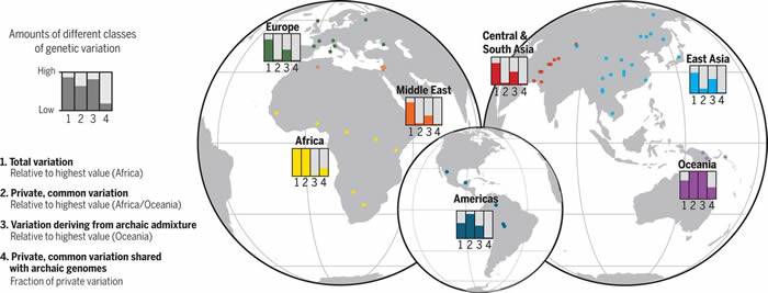 DNA分析揭示非洲古人类种群的交融程度可能比人们认为的要高得多